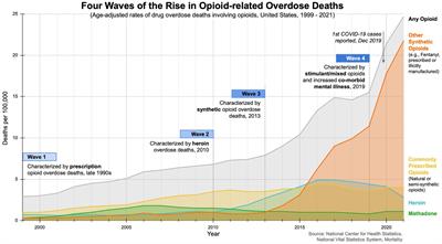 Impact of COVID-19 pandemic on chronic pain and opioid use in marginalized populations: A scoping review